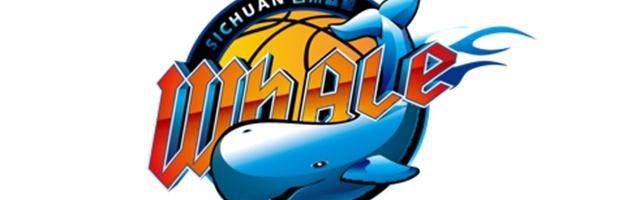 开云体育下载部门-四川再输山东遭遇29连败 创造联盟历史纪录